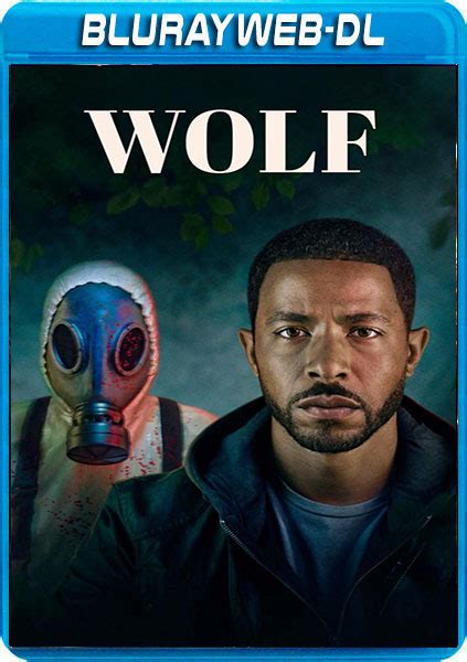 wolfmax4k rss|wolfmax4k.com .